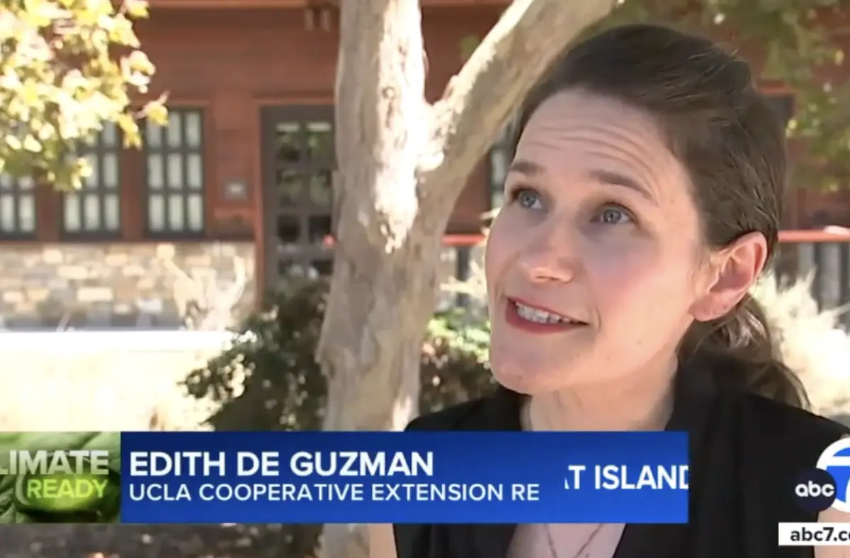 Edith de Guzman speaking with ABC7 News about how trees keep cities cool